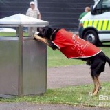 日本的街上真的沒有垃圾桶嗎？