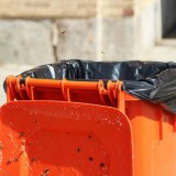 如何殺滅垃圾桶內的小蒼蠅